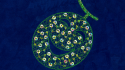 Halloween Muskmelon(Chamois Leather version)